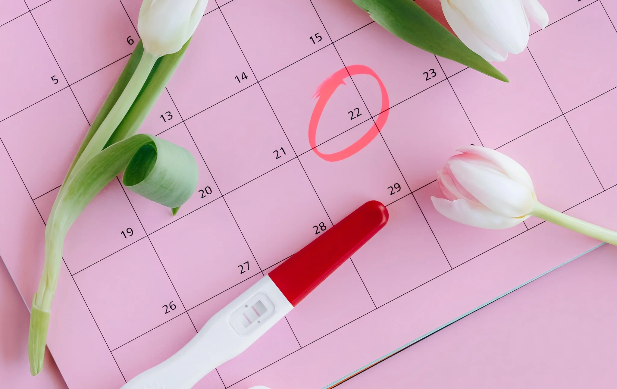 ¿Cómo calcular tu fecha probable de parto?